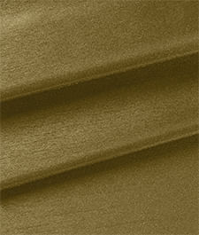 IMAGE_T