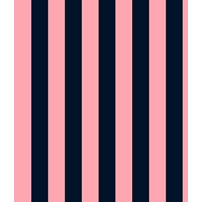 IMAGE_T