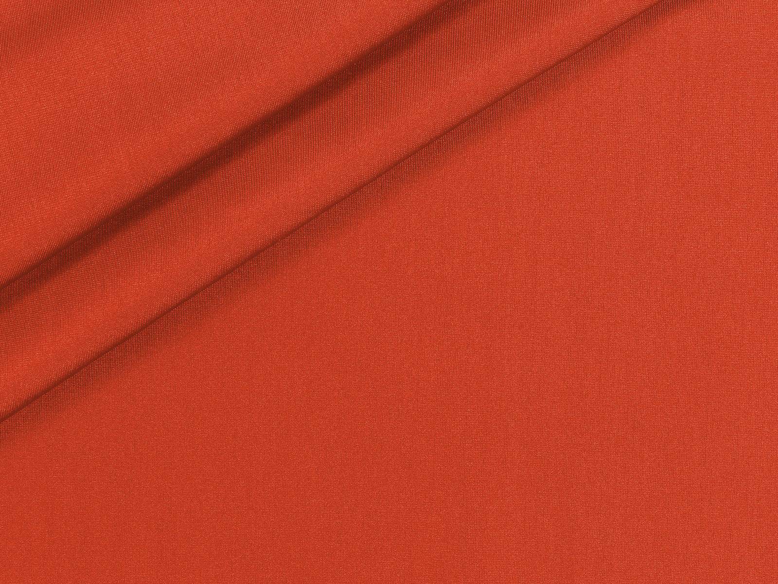 IMAGE_L