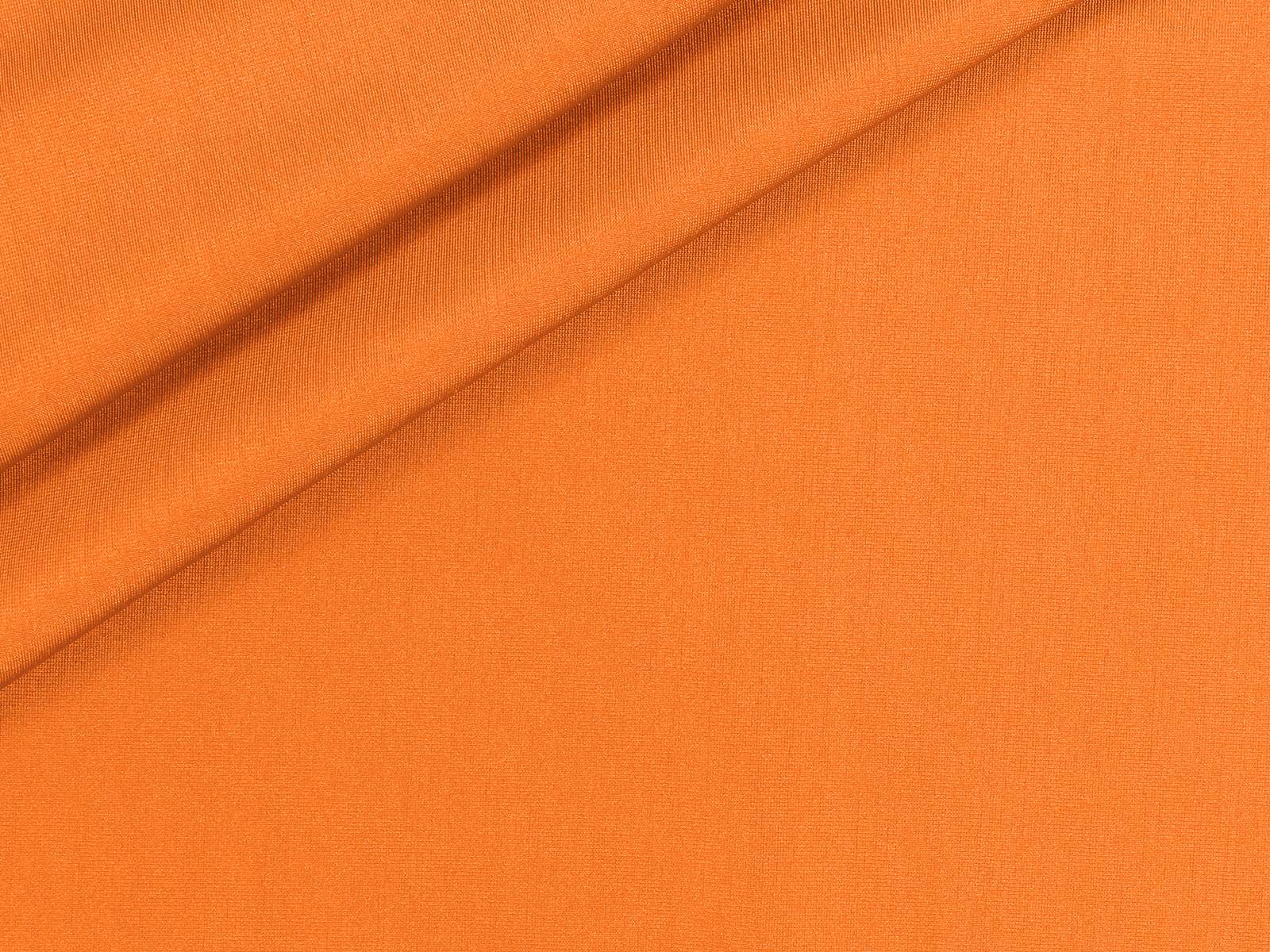 IMAGE_L