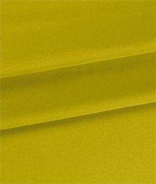 IMAGE_T