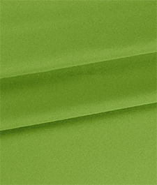 IMAGE_T