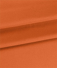 IMAGE_T