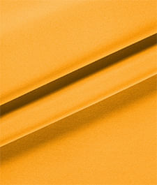 IMAGE_T