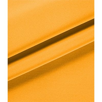 IMAGE_T