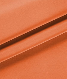 IMAGE_T