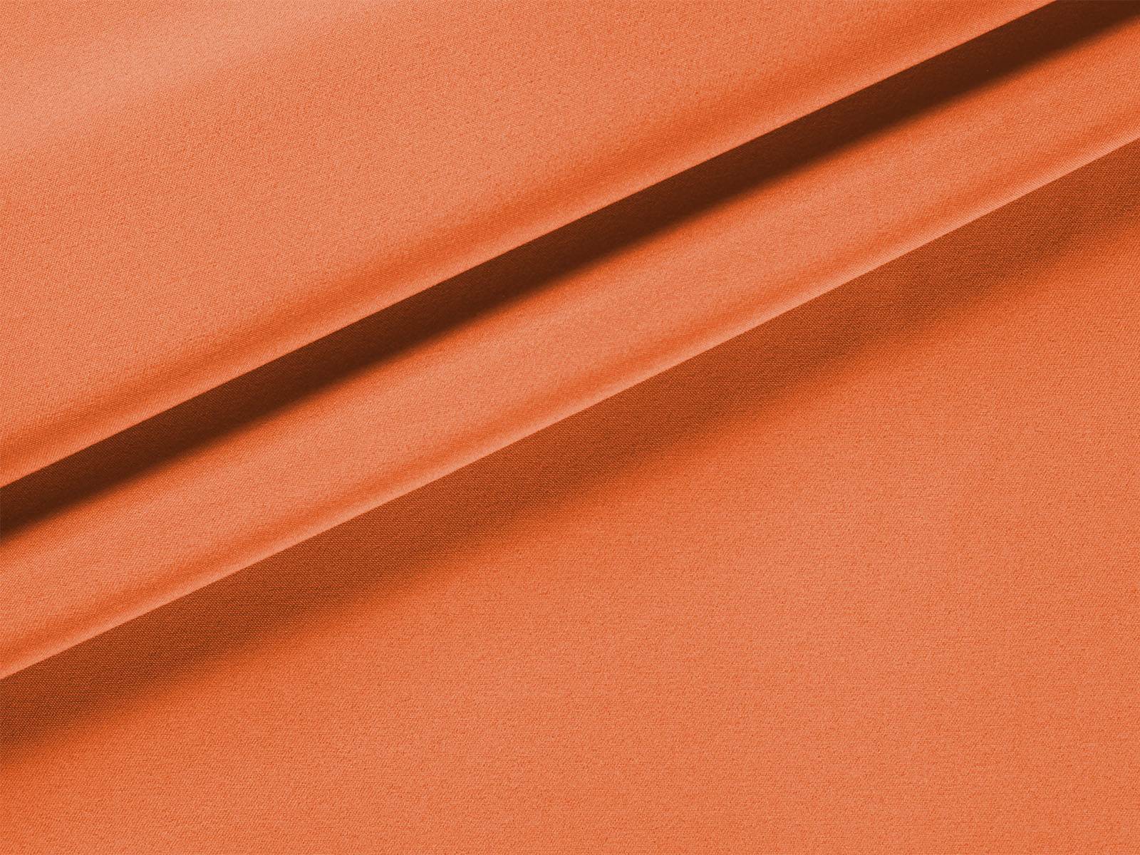 IMAGE_L