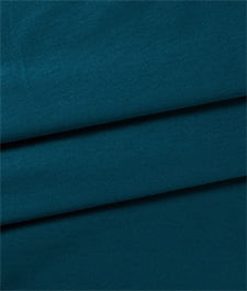 IMAGE_T