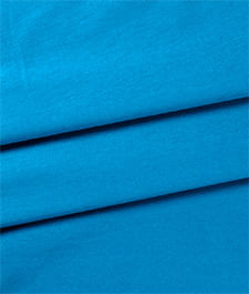 IMAGE_T
