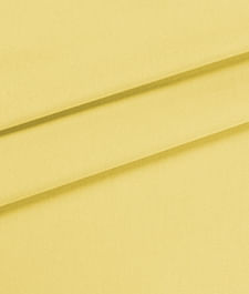 IMAGE_T