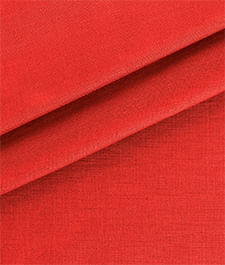 IMAGE_T