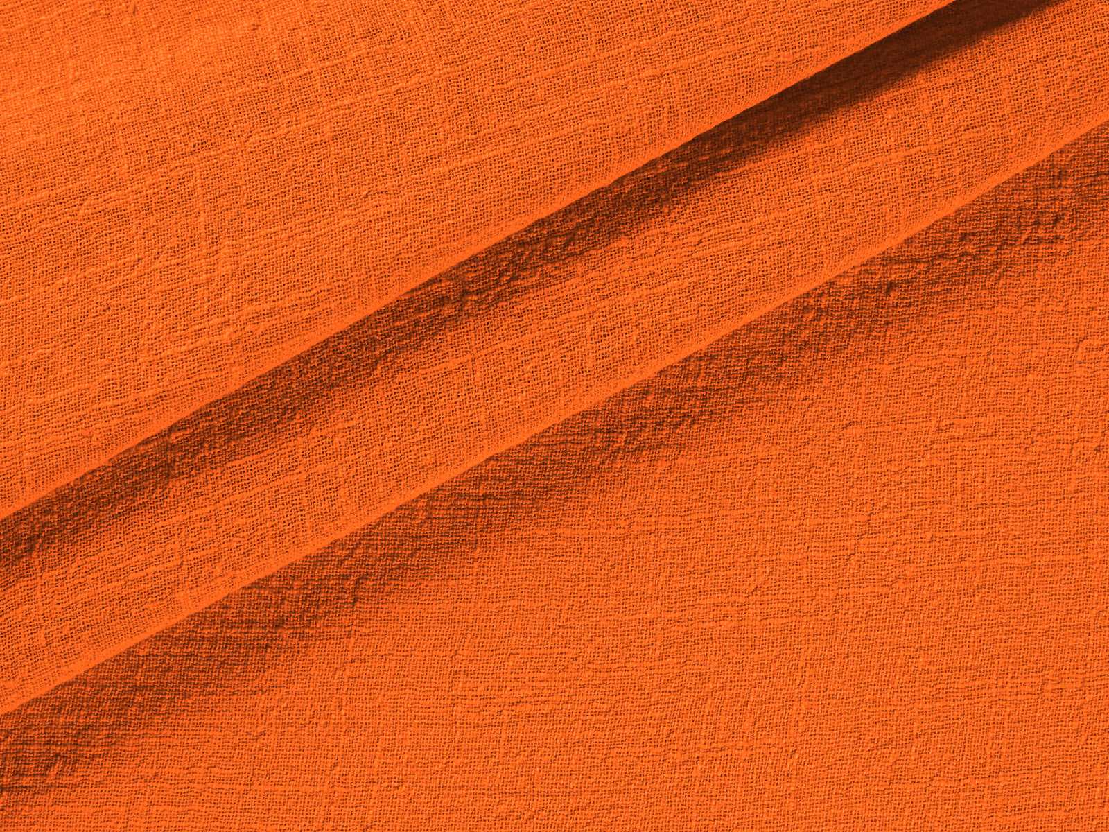 IMAGE_L