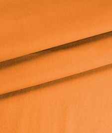 IMAGE_T