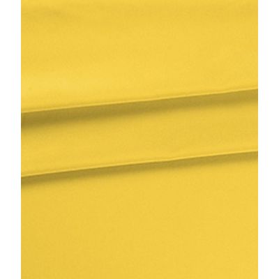 IMAGE_T