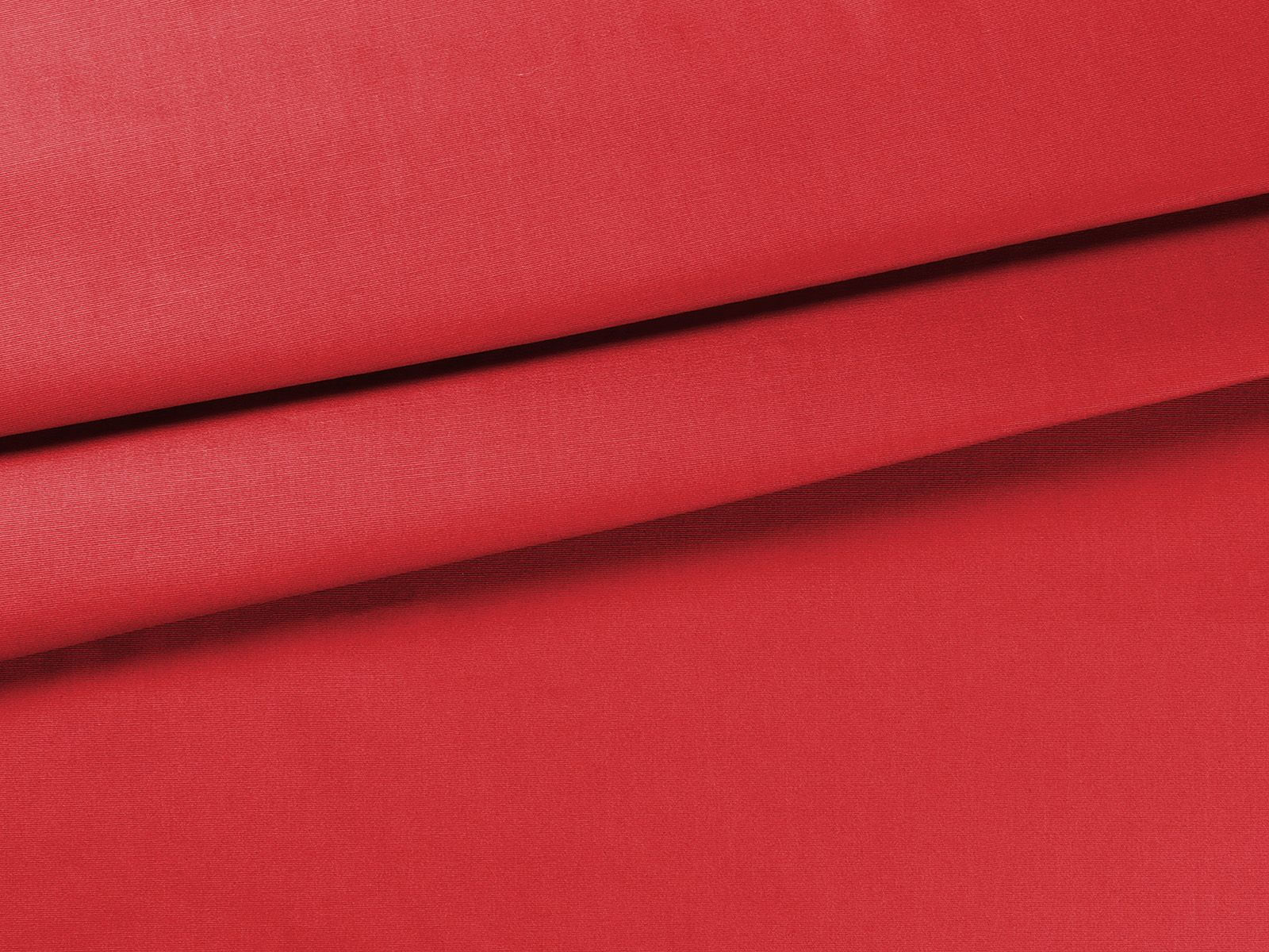 IMAGE_L