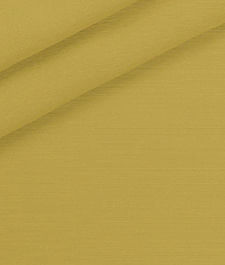 IMAGE_T