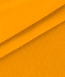 IMAGE_T