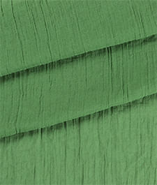IMAGE_T