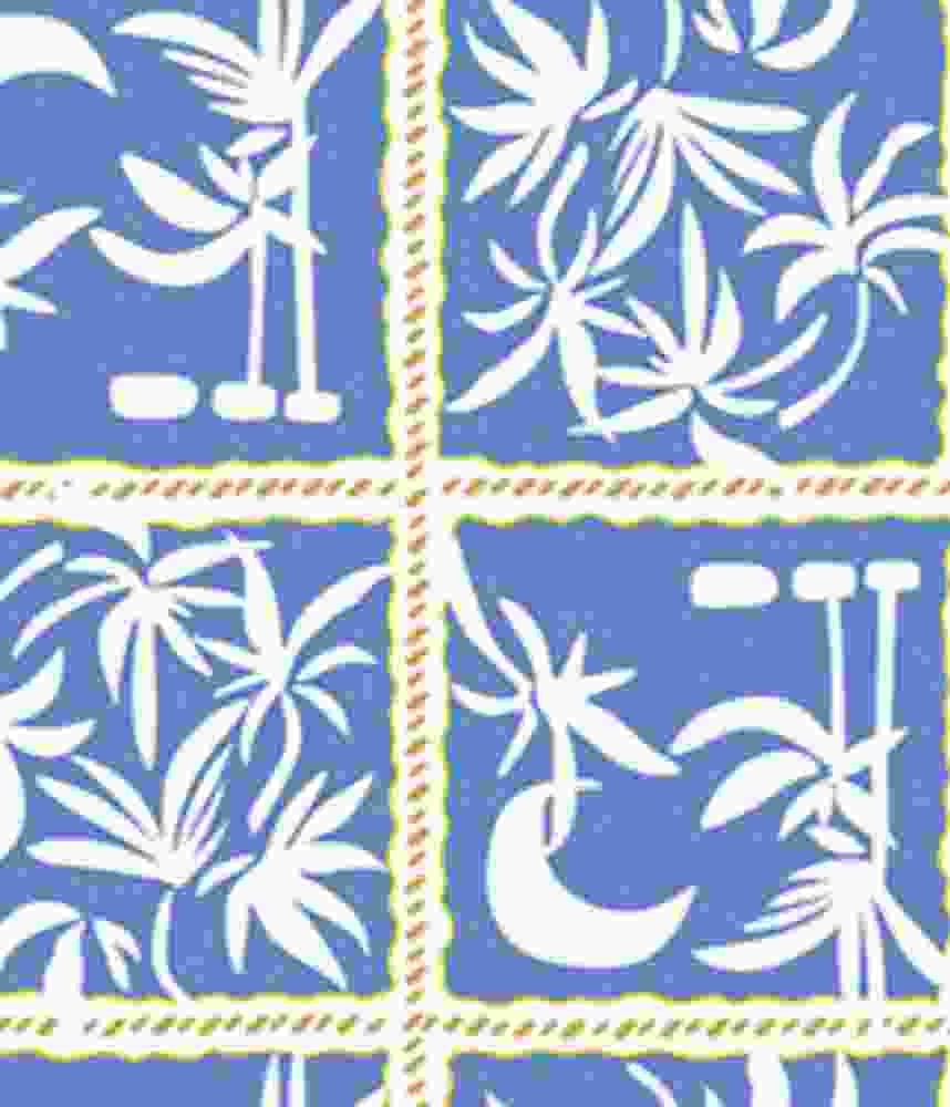 IMAGE_T