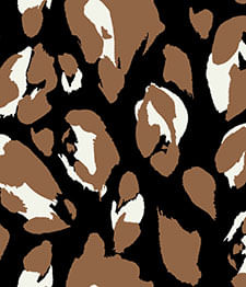 IMAGE_T