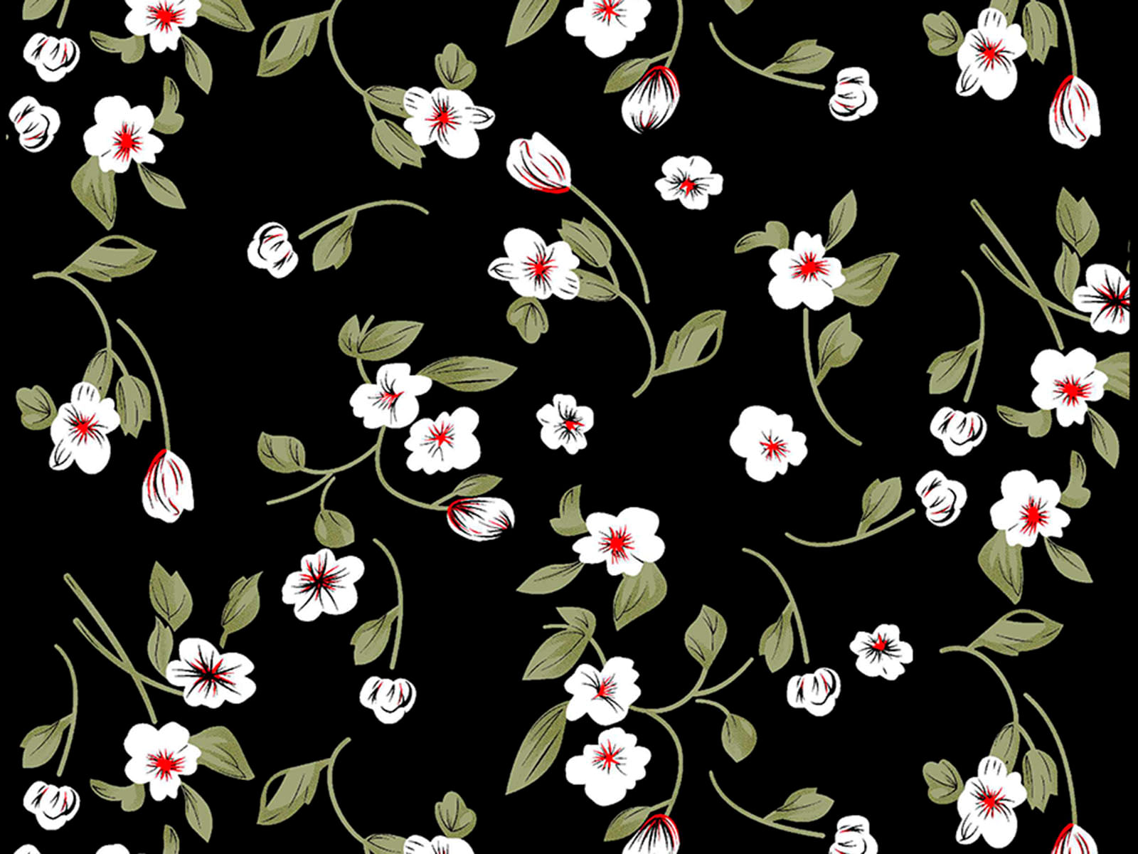 IMAGE_L