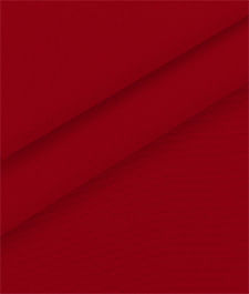 IMAGE_T