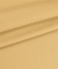 IMAGE_T