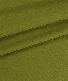 IMAGE_T