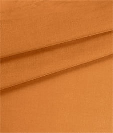 IMAGE_T
