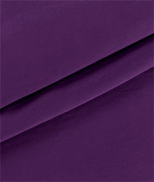IMAGE_T