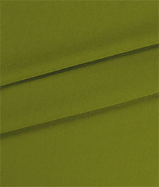 IMAGE_T