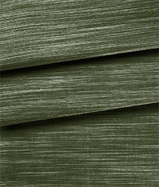 IMAGE_T