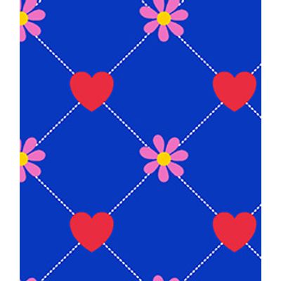 IMAGE_T