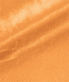 IMAGE_T