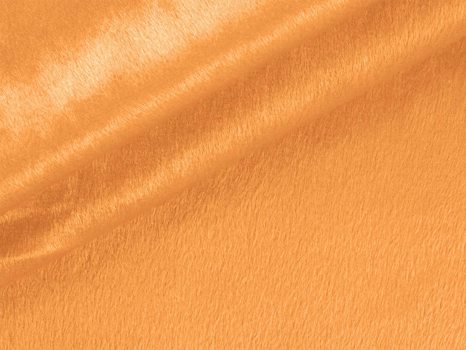 IMAGE_L