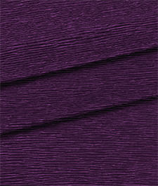 IMAGE_T