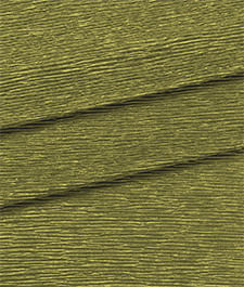 IMAGE_T