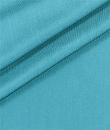 IMAGE_T