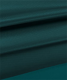 IMAGE_T