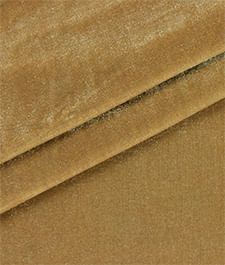 IMAGE_T