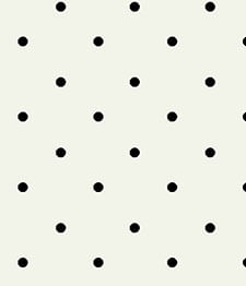 IMAGE_T