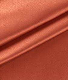 IMAGE_T