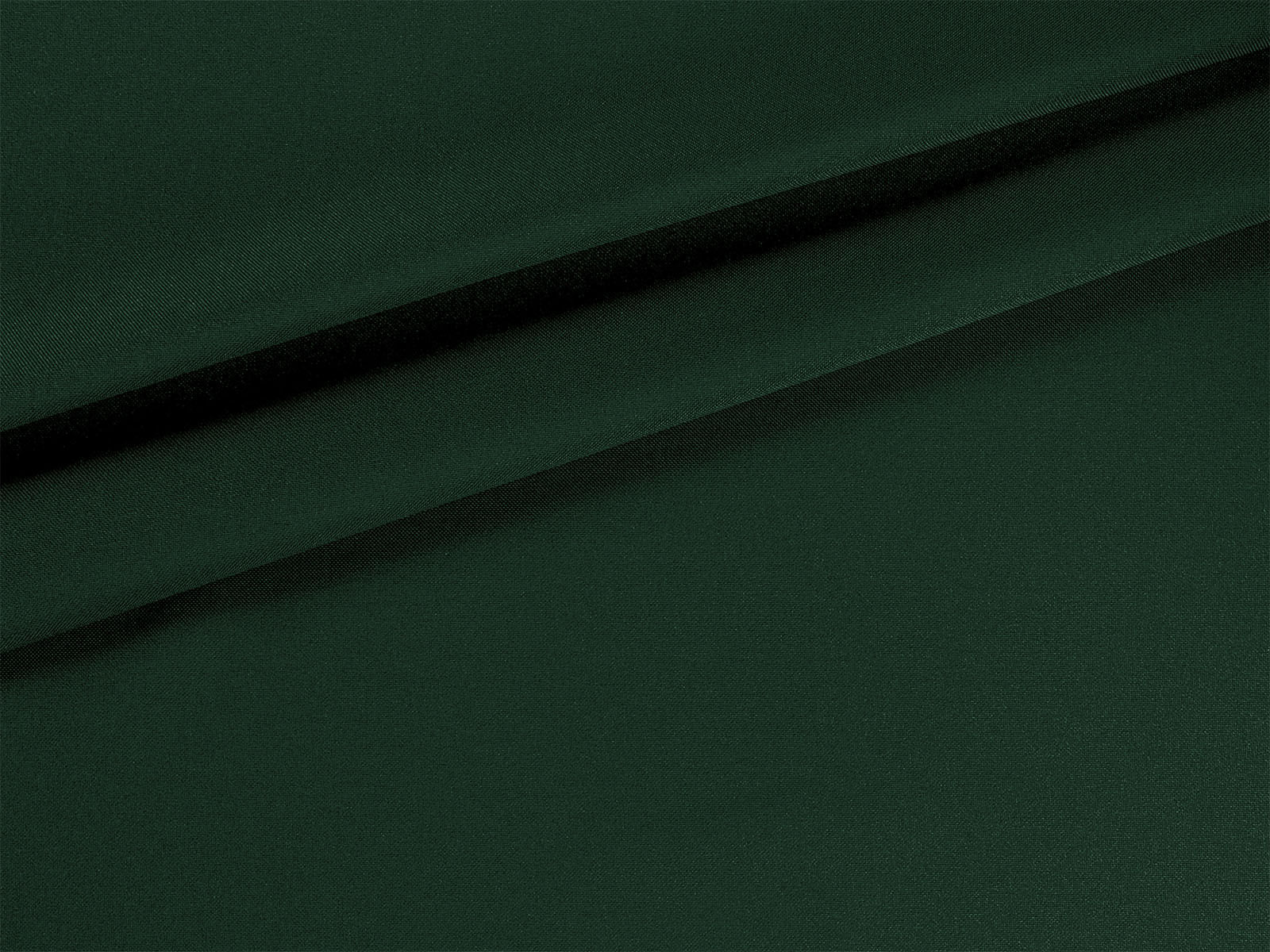 IMAGE_L
