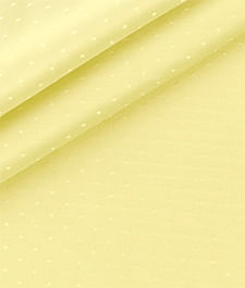 IMAGE_T