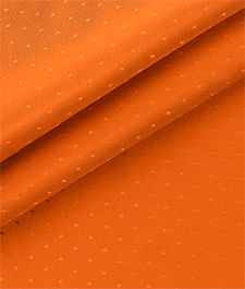 IMAGE_T
