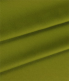 IMAGE_T