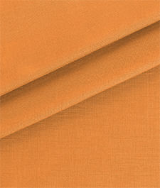 IMAGE_T