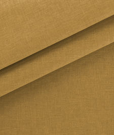 IMAGE_T