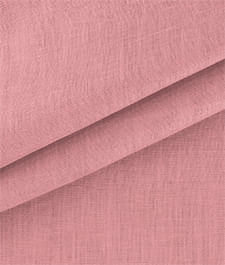 IMAGE_T