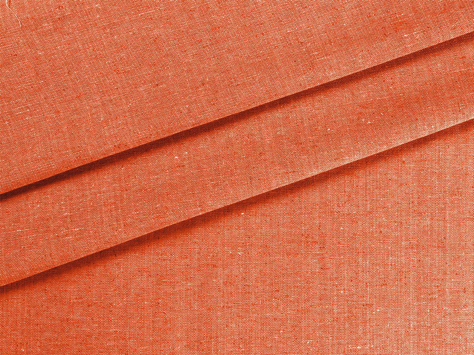 IMAGE_L